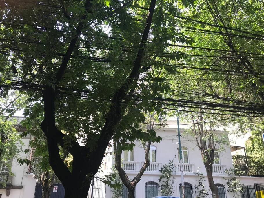 Excellent Location Renovated Apt. Roma/Condesa 1 Daire Meksika Dış mekan fotoğraf