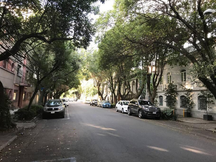 Excellent Location Renovated Apt. Roma/Condesa 1 Daire Meksika Dış mekan fotoğraf
